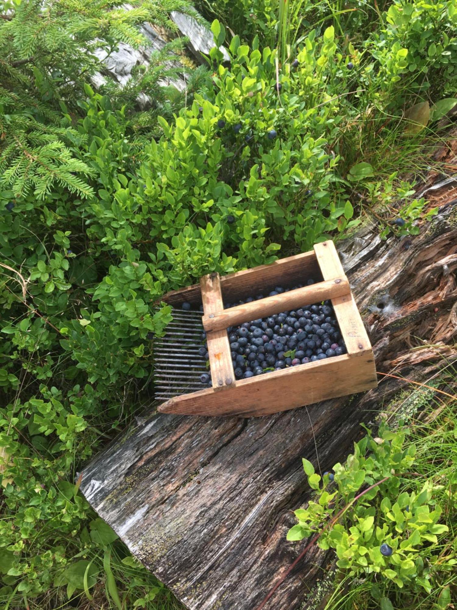 Ferienwohnungen Peisserhof 锡利安 外观 照片